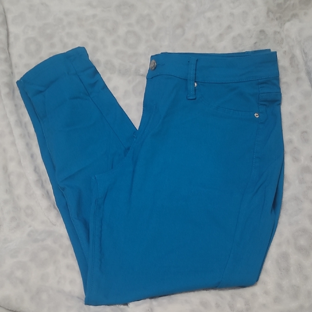 YMI Vibrant Blue Pants